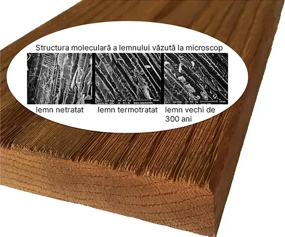 structura moleculara a lemnului termotratat vazuta la microscop in care comparam lemnul netrata cu cel termotratat si lemnul vechi de 300 ani